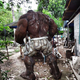 Illustration for article titled Scrap Metal Hulk is, Well, Incredible